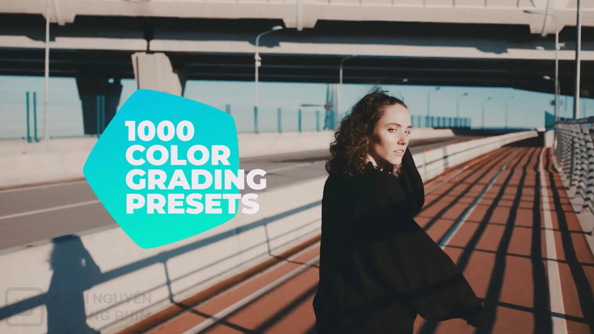 1000 Cinematic Color Presets – Lut Pack for Premiere Pro